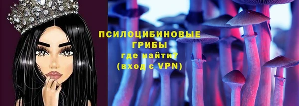 apvp Лагань