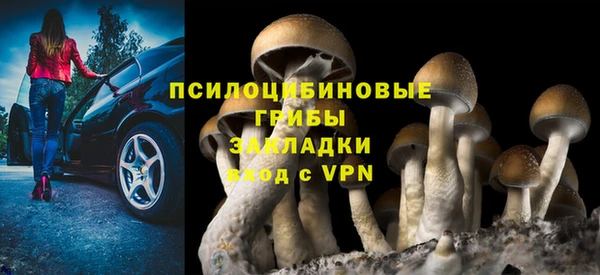 apvp Лагань