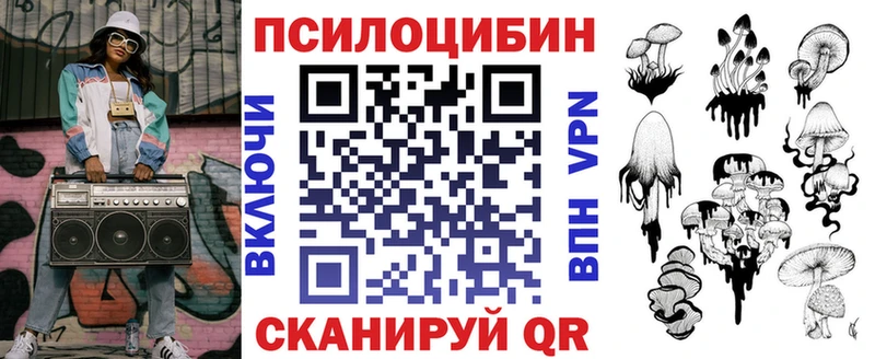 Купить где  Южноуральск  Галлюциногенные грибы Psilocybine cubensis 